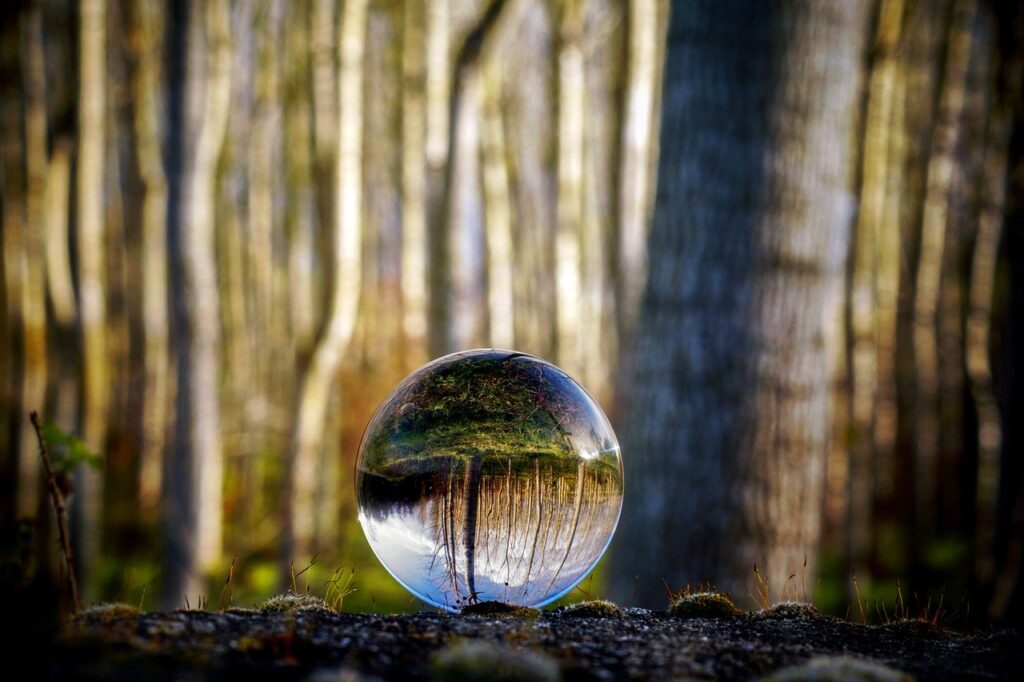 glass sphere, forest, trees, nature, landscape, spiritual, balance, meditation, zen, lens ball, creative, spiritual, meditation, meditation, meditation, meditation, meditation