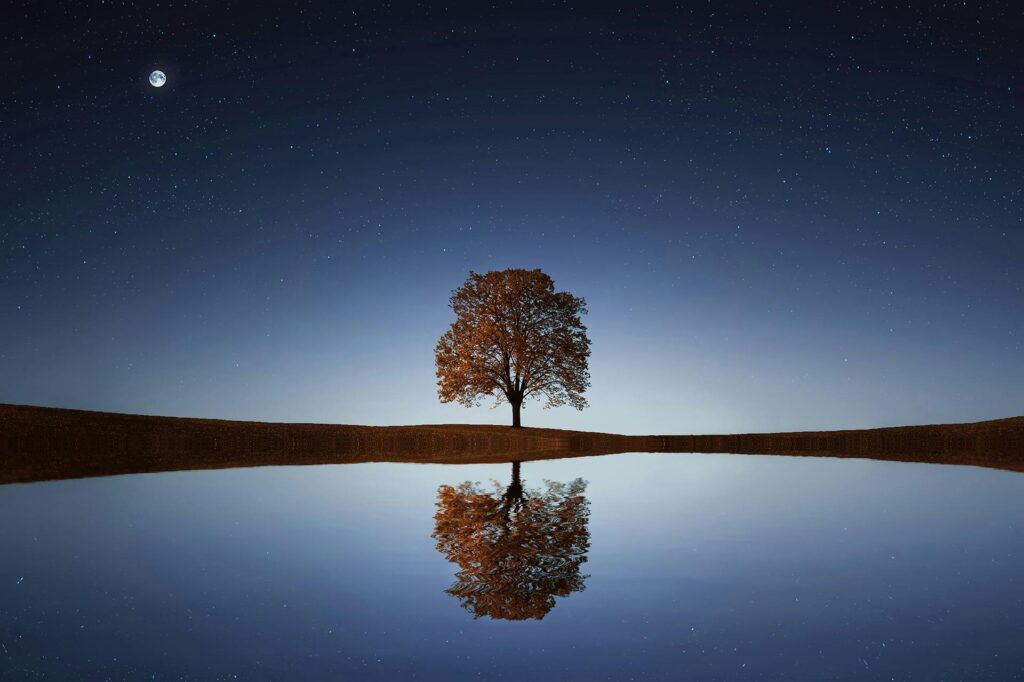 Serene night landscape with a solitary tree reflecting in calm waters beneath a starry sky.