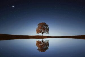 Serene night landscape with a solitary tree reflecting in calm waters beneath a starry sky.